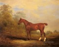 Cecil horse John Ferneley Snr
